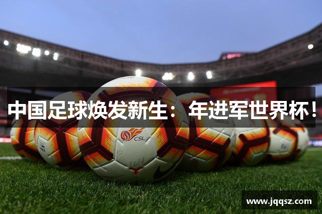 中国足球焕发新生：年进军世界杯！
